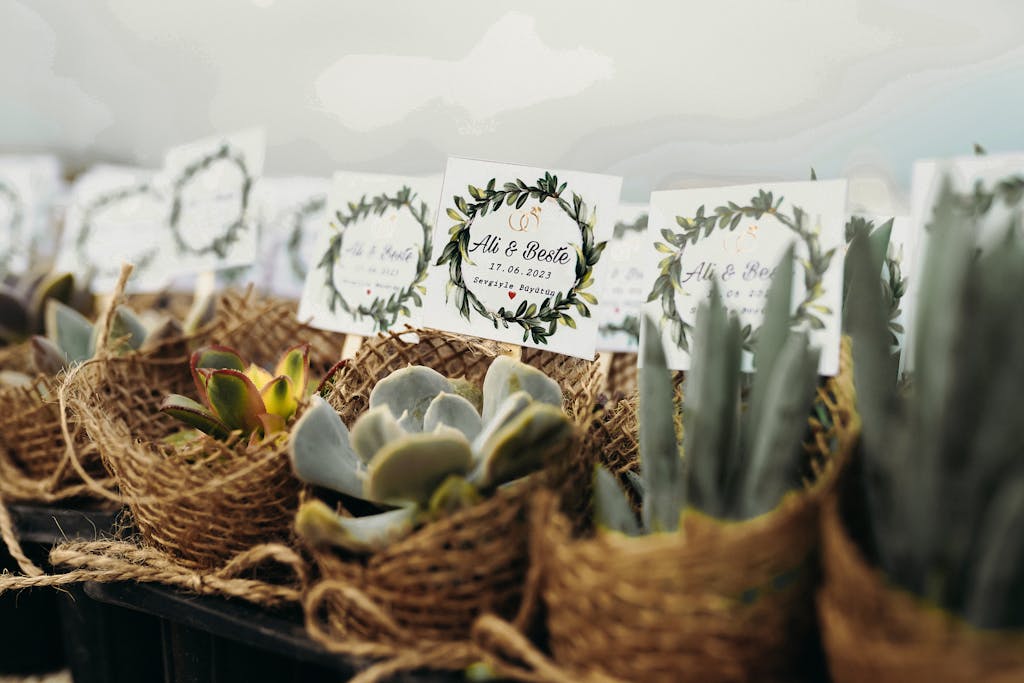 Close-up of Succulents with Cards with Brides and Grooms Names